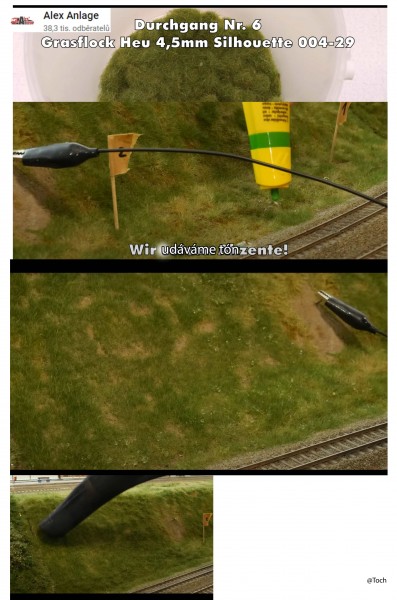grass_6.jpg