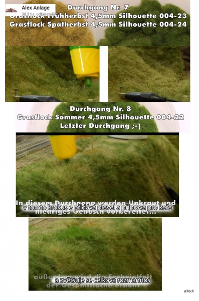 grass_7.jpg