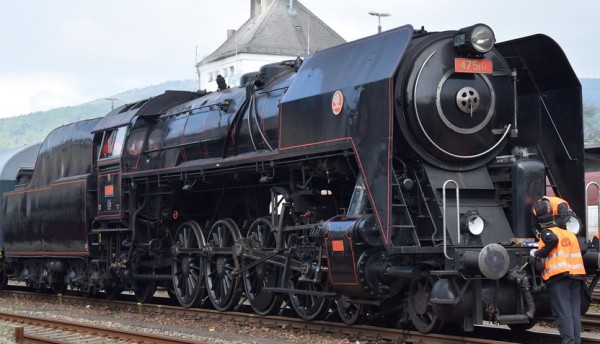 475.jpg