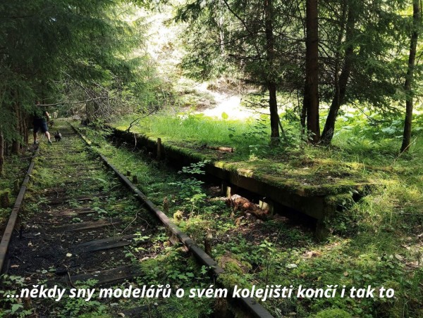 Štěpánková Iva 3 DF.jpg