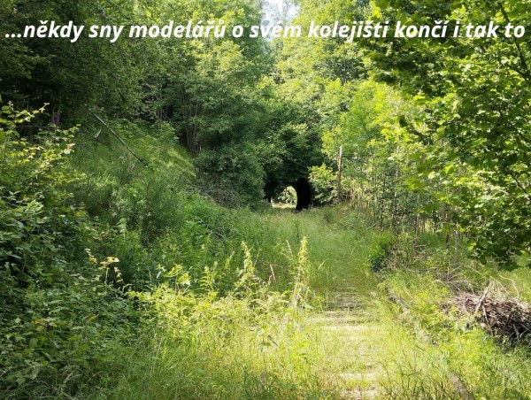 Štěpánková Iva 2 DF.jpg