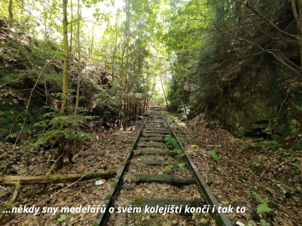 Štěpánková Iva 1 DF .jpg