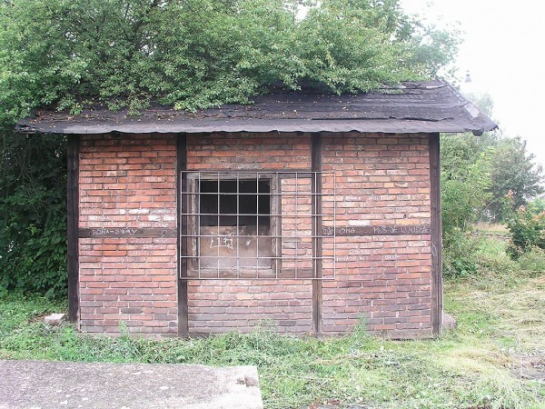 02.jpg