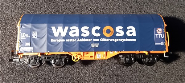 20240913_155333.jpg