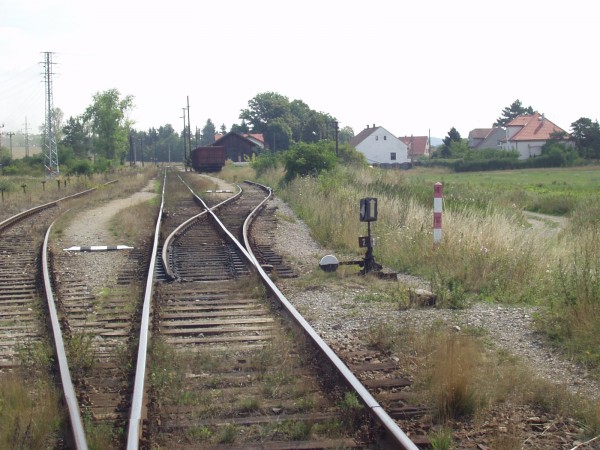 P8020039.JPG