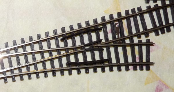 P1000798a.JPG