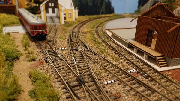 DSC_9478_small.jpg