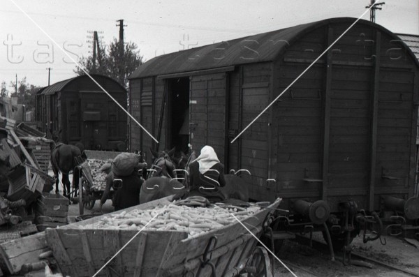 Senec rok1951.jpg