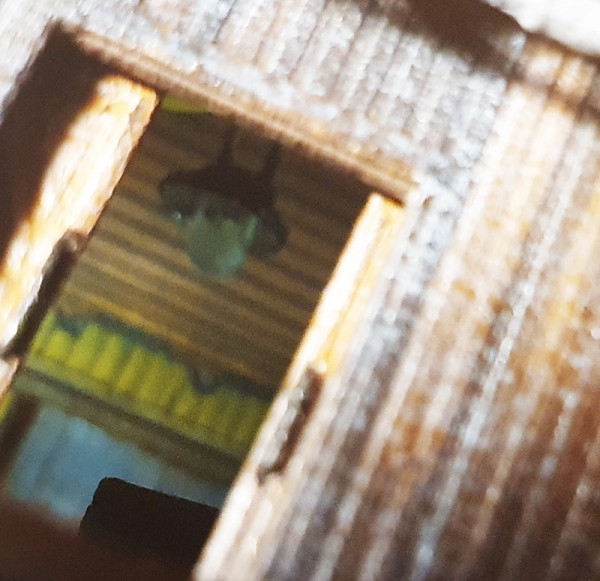 044.jpg