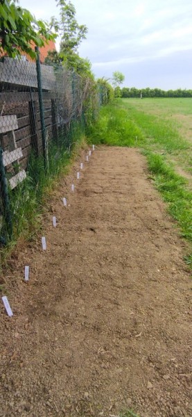 pole-podelne2.jpg