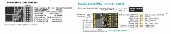 MX648_MS480.jpg