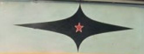3143 čelo.jpg