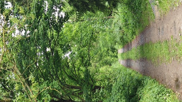 2025-05-28 19.00.03 (1200).jpg
