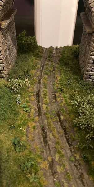 IMG_7123.jpeg