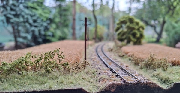 pole1.jpg