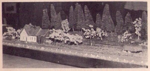Zel-model-02.jpg