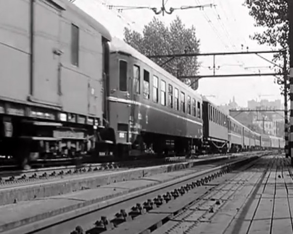 Štěňata, 1957.jpg