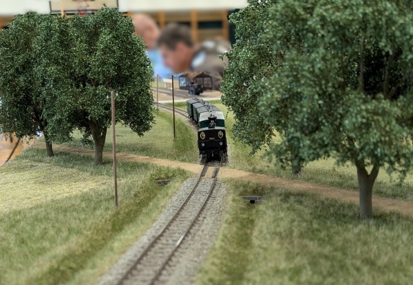 5616601.jpg