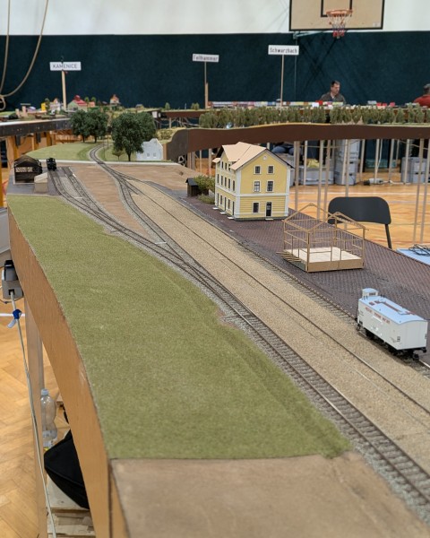 5616801.jpg