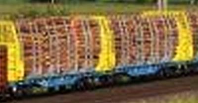 DETAIL_dvojity-klanicovy-vuz-sggmrrs-na-prevoz-dreva-cd-cargo-ep-vi.jpg