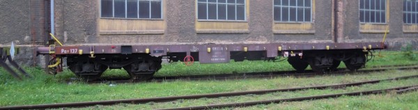 DSCN4630.JPG