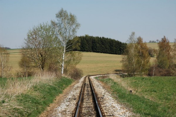DSC_1133.JPG