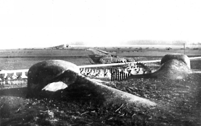 1644.jpg
