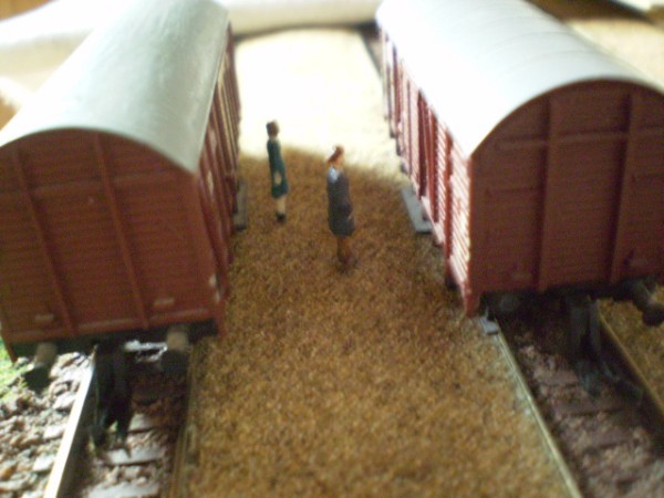 PB160056.JPG