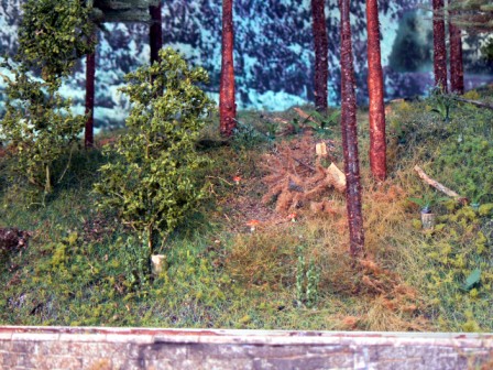 P1080644aw.jpg
