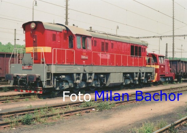 T 6690088 Sokolov.jpg