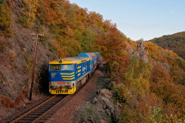 749950.jpg