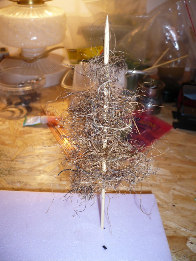 P1000454.JPG